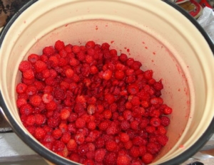 Перебираем ягоду и высыпаем в большую кастрюлю